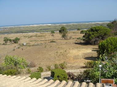 Ferienhaus in Luz de Tavira R.1 (Algarve) oder Ferienwohnung oder Ferienhaus