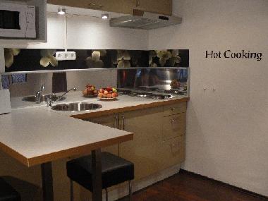 Ferienwohnung in Budapest (Budapest) oder Ferienwohnung oder Ferienhaus