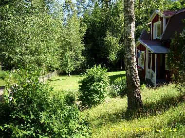 Ein vorderer Teil des Gartens