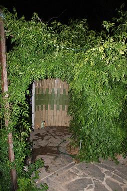 Die Auendusche auf der hinteren Terrasse