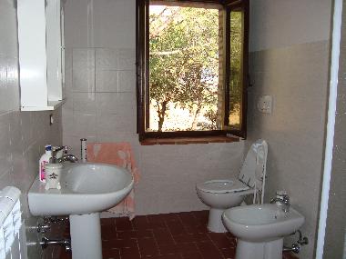 BAD - PODERE SAN BIAGIO