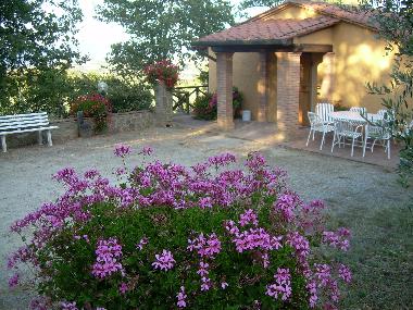 Ferienwohnung in Monte San Savino (Arezzo) oder Ferienwohnung oder Ferienhaus
