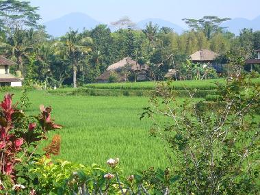 Blick aus dem oberen Stockwerk
