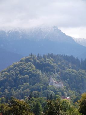 Ferienhaus in Bran, Predelut (Brasov) oder Ferienwohnung oder Ferienhaus