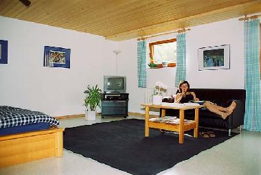 Ferienwohnung in Lwenstein-H. (Region Heilbronn Franken) oder Ferienwohnung oder Ferienhaus