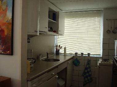 Ferienhaus in Renesse (Zeeland) oder Ferienwohnung oder Ferienhaus