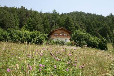Unser Haus Majema im Sommer - inmitten der Natur!