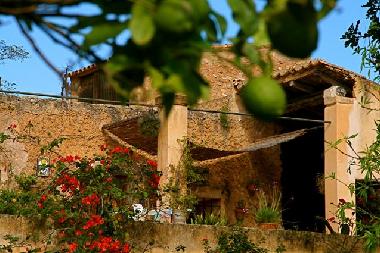 Ferienhaus in Art� / Son Severa (Mallorca) oder Ferienwohnung oder Ferienhaus