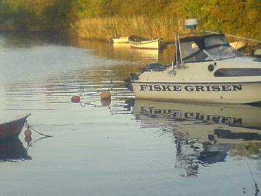 Pension in Copenhagen (Kobenhavn) oder Ferienwohnung oder Ferienhaus