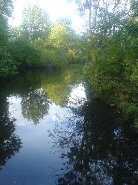 Pension in Copenhagen (Kobenhavn) oder Ferienwohnung oder Ferienhaus