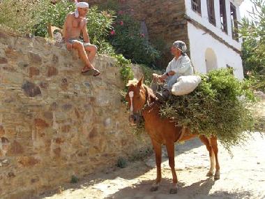 Ferienhaus in selcuk Ephesus (Izmir) oder Ferienwohnung oder Ferienhaus