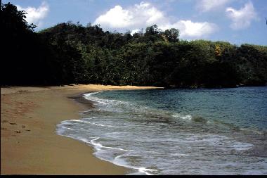 Ferienhaus in Englishman