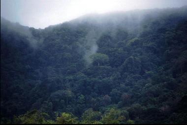 Ferienhaus in Englishman