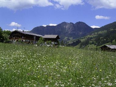 Ferienhaus in W�rgl (Rom) oder Ferienwohnung oder Ferienhaus