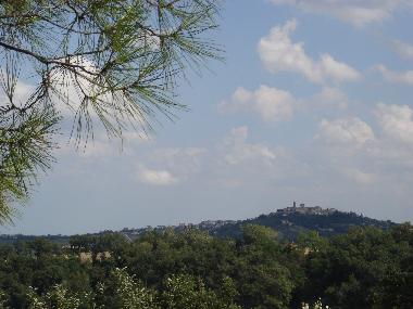 Ausblick aus dem Wohnzi.-Fenster auf Barchi 