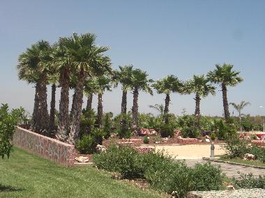 Ferienwohnung in Oropesa (Castell�n / Castell�) oder Ferienwohnung oder Ferienhaus