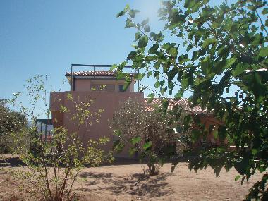 Ferienhaus in Zaharo (Messinia) oder Ferienwohnung oder Ferienhaus