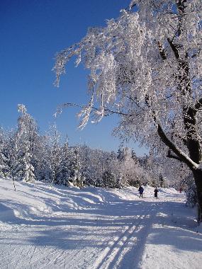 Ferienwohnung in Bermbach (Th�ringer Wald) oder Ferienwohnung oder Ferienhaus