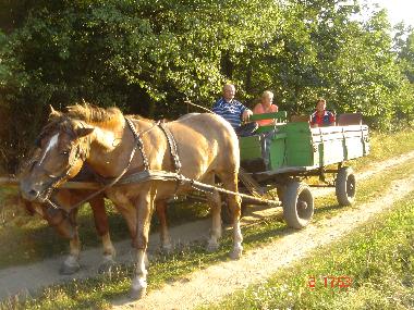 Ferienhaus in Vargesztes (Komarom-Esztergom) oder Ferienwohnung oder Ferienhaus