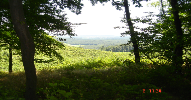 Ferienhaus in Vargesztes (Komarom-Esztergom) oder Ferienwohnung oder Ferienhaus