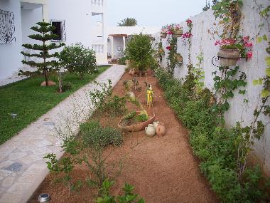 Ferienhaus in Midoun (Madanin) oder Ferienwohnung oder Ferienhaus