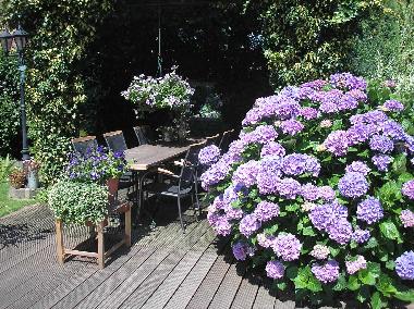 Ferienwohnung in Wellerlooi (Limburg) oder Ferienwohnung oder Ferienhaus