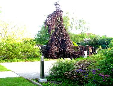 Ferienhaus in Berlin (Pankow) oder Ferienwohnung oder Ferienhaus