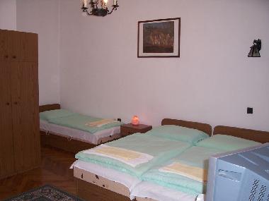 Ferienwohnung in Budapest (Budapest) oder Ferienwohnung oder Ferienhaus