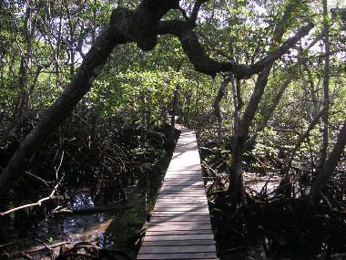 Pritvatsteg 200m bis zum Meer