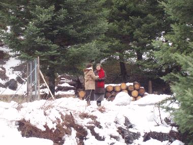 Ferienhaus in Bytina (Arkadia) oder Ferienwohnung oder Ferienhaus