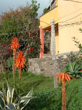 Ferienhaus in calheta (Madeira) oder Ferienwohnung oder Ferienhaus