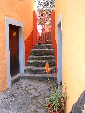 Ferienhaus in calheta (Madeira) oder Ferienwohnung oder Ferienhaus