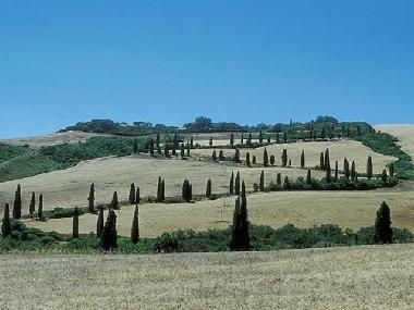 Ferienwohnung in Foiano della Chiana (Arezzo) oder Ferienwohnung oder Ferienhaus