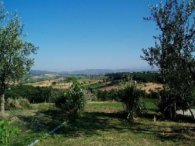 Ferienwohnung in Foiano della Chiana (Arezzo) oder Ferienwohnung oder Ferienhaus
