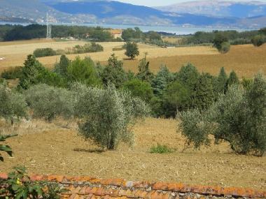 Ferienhaus in Pozzuolo (Perugia) oder Ferienwohnung oder Ferienhaus