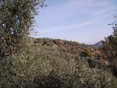 Ferienhaus in Montecatini Terme (Pistoia) oder Ferienwohnung oder Ferienhaus