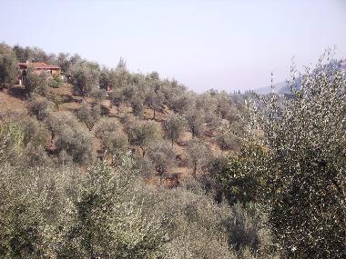 Ferienhaus in Montecatini Terme (Pistoia) oder Ferienwohnung oder Ferienhaus