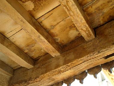 Ferienhaus in Issor (Pyrnes-Atlantiques) oder Ferienwohnung oder Ferienhaus