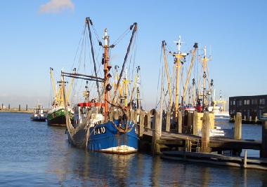 Hafen, Breskens