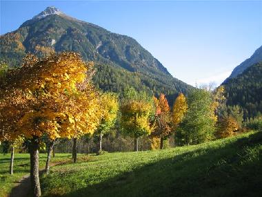 Spazierengang - umgebung