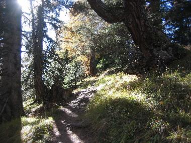 Spaziergang bei Tschlin