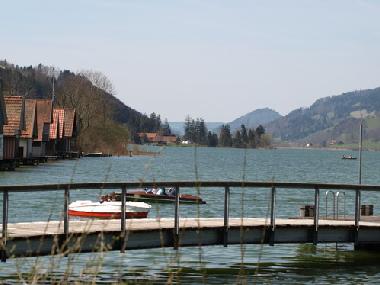 Am Alpsee