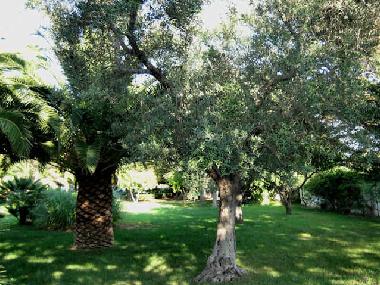 Ferienhaus in Carovigno (Brindisi) oder Ferienwohnung oder Ferienhaus
