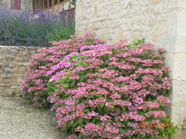 Ferienhaus in Chasseignas Nailhac (Dordogne) oder Ferienwohnung oder Ferienhaus