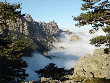 Ferienwohnung in PORTO-VECCHIO (Corse-du-Sud) oder Ferienwohnung oder Ferienhaus