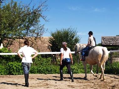 Reitstunden auf dem Reitplatz mit unseren gut ausgebildeten Pfer