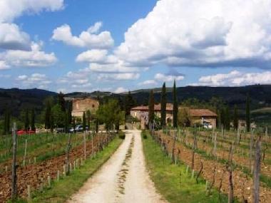 Pension in Castellina in chianti (Siena) oder Ferienwohnung oder Ferienhaus