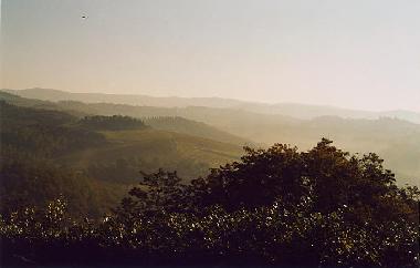 Pension in Castellina in chianti (Siena) oder Ferienwohnung oder Ferienhaus