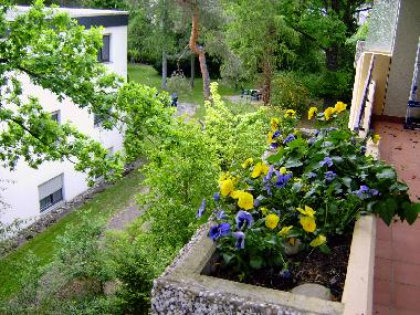 Blick vom Balkon des Appartements 118