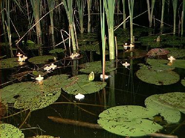 Ferienhaus in Hj�ltevad (Smaland) oder Ferienwohnung oder Ferienhaus